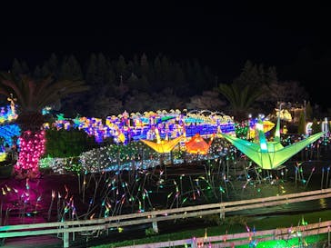 伊豆ぐらんぱる公園に投稿された画像（2023/3/31）