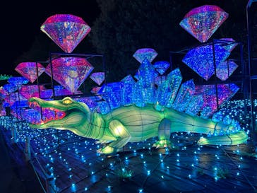 伊豆ぐらんぱる公園に投稿された画像（2023/3/31）