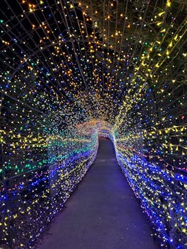 伊豆ぐらんぱる公園に投稿された画像（2023/3/31）