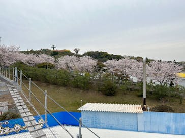 グリーンランドに投稿された画像（2023/3/31）