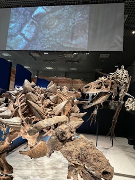 特別展「恐竜博2023」に投稿された画像（2023/4/1）
