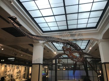 国立科学博物館に投稿された画像（2023/4/1）