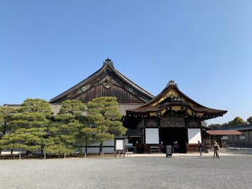 元離宮二条城に投稿された画像（2023/4/1）