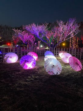 せんだい農業園芸センター　みどりの杜に投稿された画像（2023/4/1）