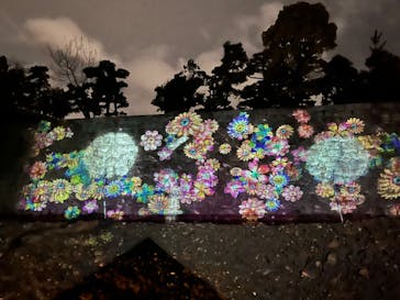 『NAKED FLOWERS 2023 桜 世界遺産・二条城』に投稿された画像（2023/4/1）