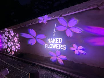 『NAKED FLOWERS 2023 桜 世界遺産・二条城』に投稿された画像（2023/4/1）