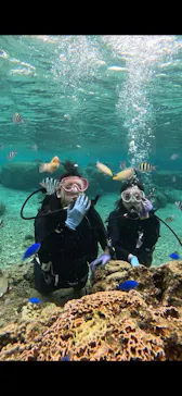 武藤潜水に投稿された画像（2023/4/1）