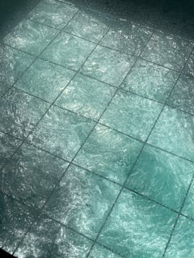 徳島県立 渦の道に投稿された画像（2023/4/1）