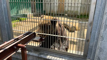 東武動物公園に投稿された画像（2023/4/1）