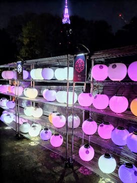 NAKED 桜の新宿御苑 2023に投稿された画像（2023/4/1）