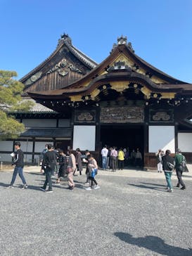 元離宮二条城に投稿された画像（2023/4/1）