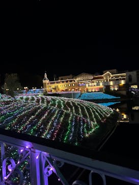 レオマリゾートに投稿された画像（2023/4/1）