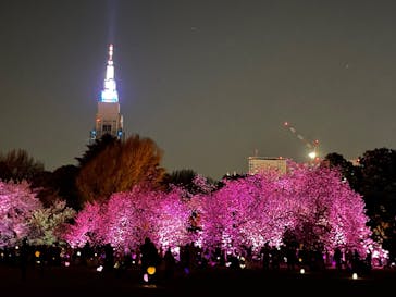 NAKED 桜の新宿御苑 2023に投稿された画像（2023/4/1）