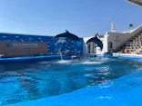 仙台うみの杜水族館に投稿された画像（2023/4/1）