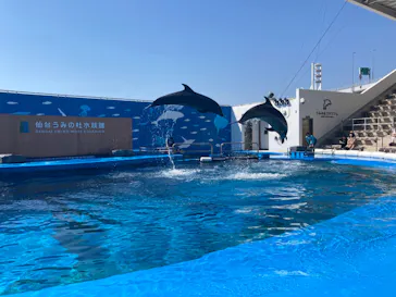 仙台うみの杜水族館に投稿された画像（2023/4/1）