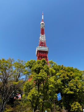 東京タワーに投稿された画像（2023/4/1）