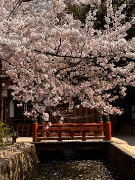 東映太秦映画村に投稿された画像（2023/4/1）