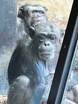 よこはま動物園ズーラシアに投稿された画像（2023/4/1）