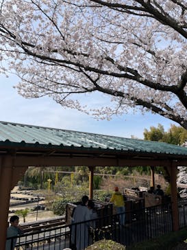 みろくの里に投稿された画像（2023/4/1）