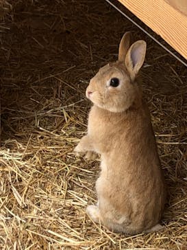 伊豆シャボテン動物公園に投稿された画像（2023/4/1）