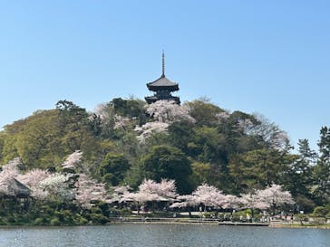 三溪園に投稿された画像（2023/4/1）