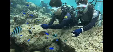 武藤潜水に投稿された画像（2023/4/1）