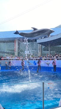 大分マリーンパレス水族館 「うみたまご」に投稿された画像（2023/4/1）
