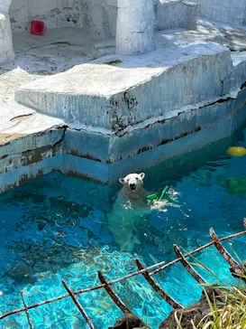 天王寺動物園に投稿された画像（2023/4/1）
