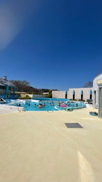 スパリゾートハワイアンズに投稿された画像（2023/4/1）