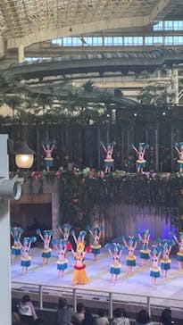 スパリゾートハワイアンズに投稿された画像（2023/4/1）