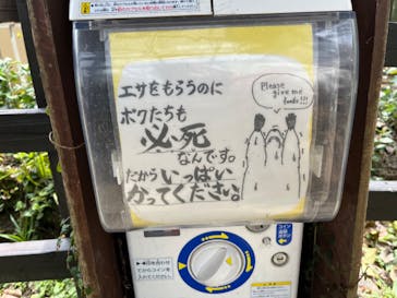 長崎バイオパークに投稿された画像（2023/4/1）