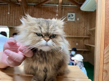 長崎バイオパークに投稿された画像（2023/4/1）