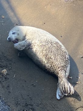 伊豆・三津シーパラダイスに投稿された画像（2023/4/1）