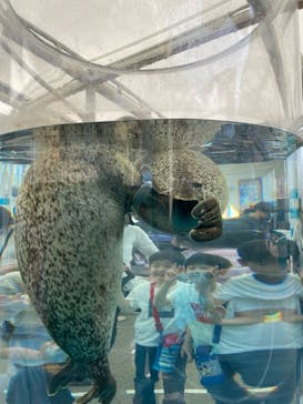 京都水族館に投稿された画像（2023/4/1）