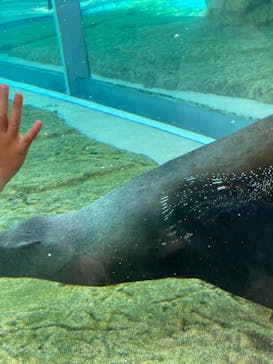 京都水族館に投稿された画像（2023/4/1）