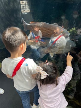 京都水族館に投稿された画像（2023/4/1）
