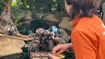 那須どうぶつ王国に投稿された画像（2023/4/1）