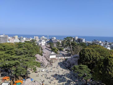 小田原城に投稿された画像（2023/4/1）