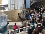 アクアワールド茨城県大洗水族館に投稿された画像（2023/4/1）