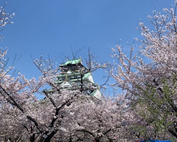 大阪城公園 西の丸庭園に投稿された画像（2023/4/1）