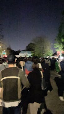 NAKED 桜の新宿御苑 2023に投稿された画像（2023/4/1）