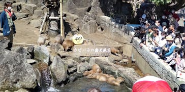 伊豆シャボテン動物公園に投稿された画像（2023/4/1）