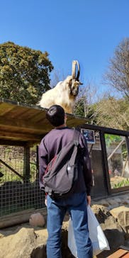 伊豆シャボテン動物公園に投稿された画像（2023/4/1）