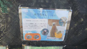 天王寺動物園に投稿された画像（2023/4/1）