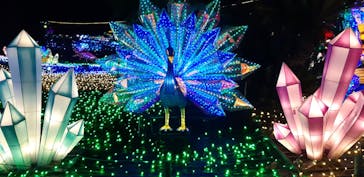 伊豆ぐらんぱる公園に投稿された画像（2023/4/1）