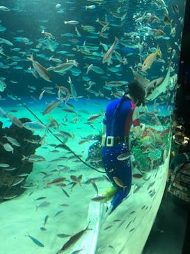 サンシャイン水族館に投稿された画像（2023/4/1）