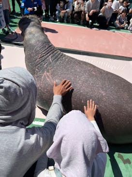 ゼロ距離水族館 伊勢シーパラダイスに投稿された画像（2023/4/1）