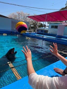 ゼロ距離水族館 伊勢シーパラダイスに投稿された画像（2023/4/1）