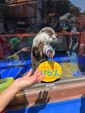 ゼロ距離水族館 伊勢シーパラダイスに投稿された画像（2023/4/1）