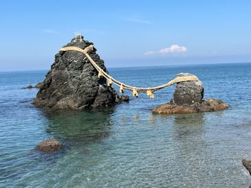 ゼロ距離水族館 伊勢シーパラダイスに投稿された画像（2023/4/1）